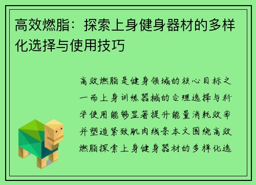 高效燃脂：探索上身健身器材的多样化选择与使用技巧