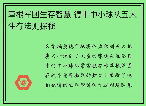 草根军团生存智慧 德甲中小球队五大生存法则探秘