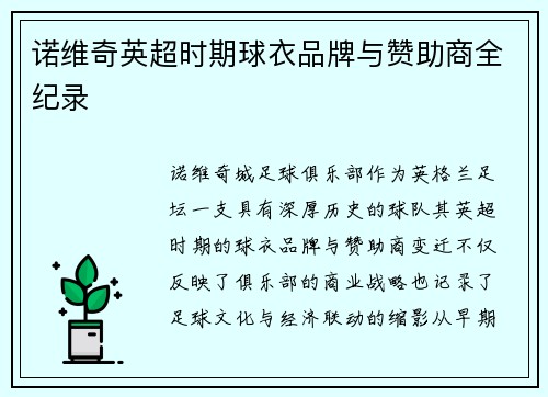 诺维奇英超时期球衣品牌与赞助商全纪录