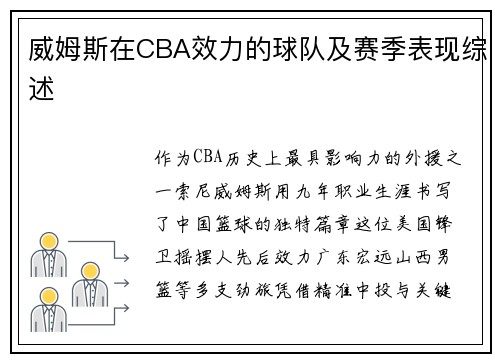 威姆斯在CBA效力的球队及赛季表现综述